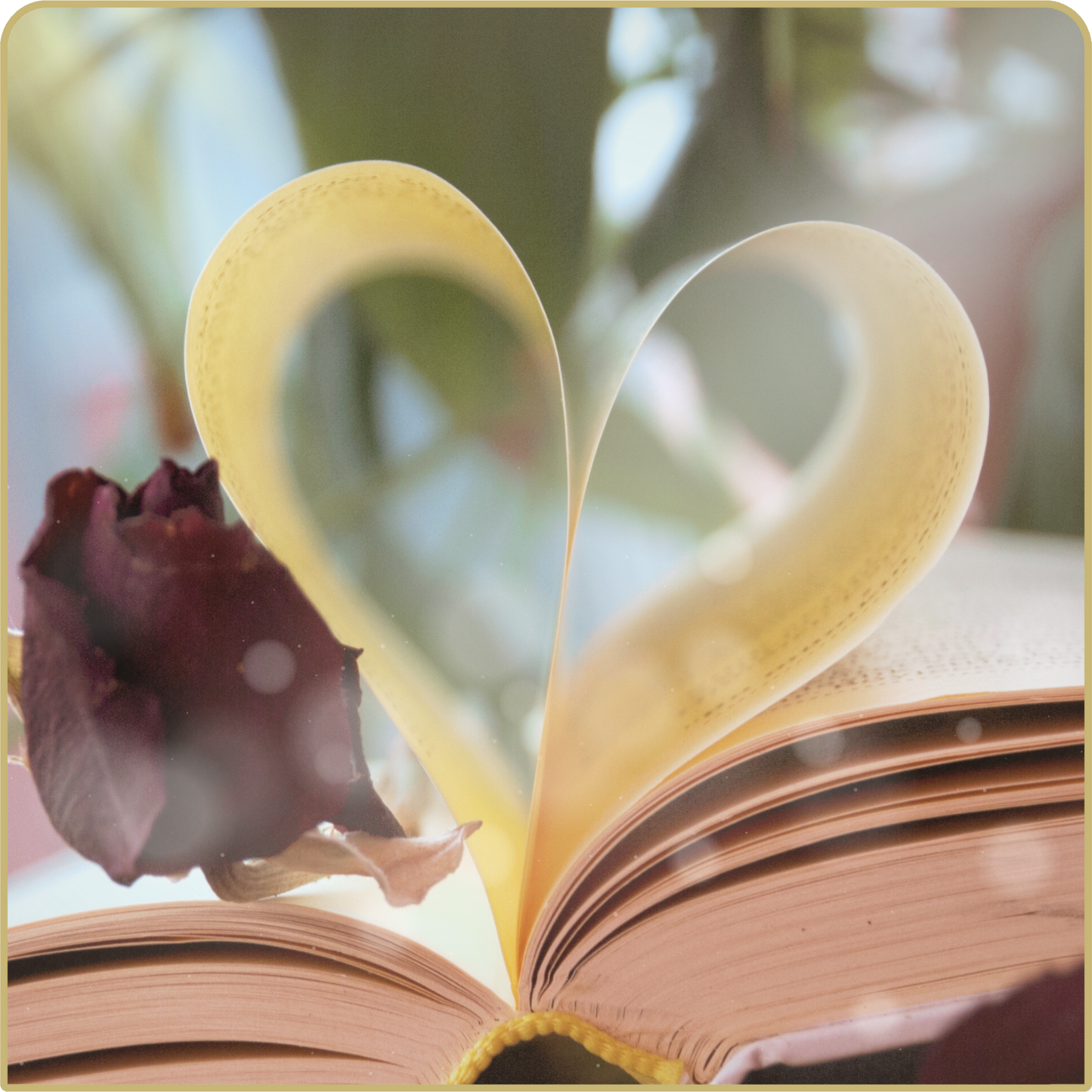 Full Love Reading