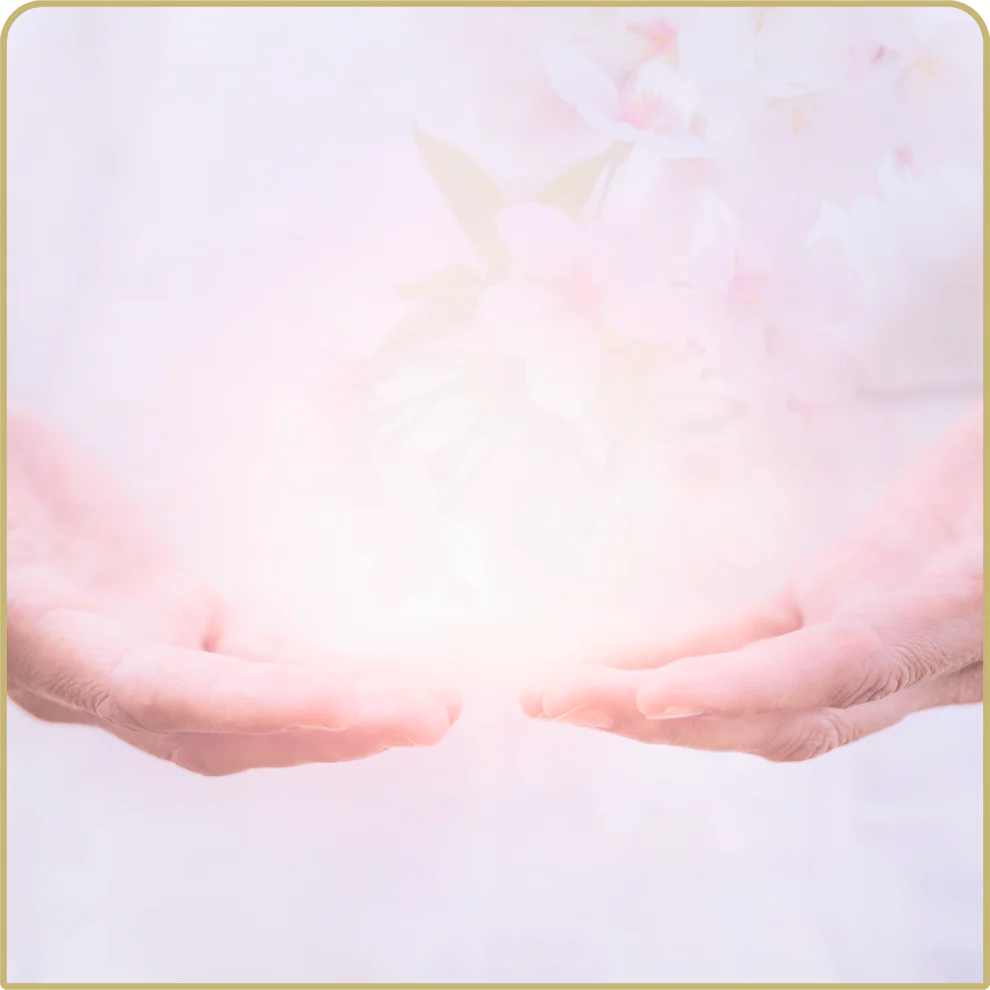 12-Session Energy Clearing & Protection Bundle