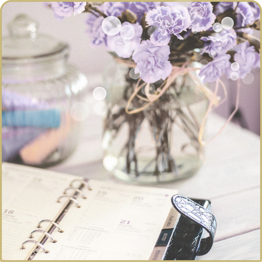 6 Month Ahead Forecast